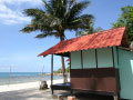 Bottle Beach II