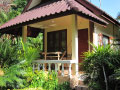 Jungle Hut