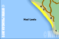 Had Leela